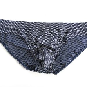 Navy Blue and Silver Brief